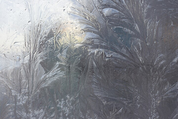 Frosted glass, ice texture. Winter background, natural frost pattern on window