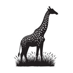 giraffe silhouette vector illustration, Silhouettes set of African wild animals in nature habitats, giraffes in different poses silhouette set, vector collection.
