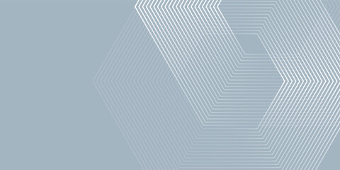 Vector hexagon lines on gray background abstract