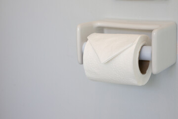 A roll of toilet paper is hanging on a wall