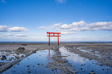 大魚神社の海中鳥居の風景（太良町）