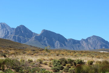 mountain landscape in the mountains