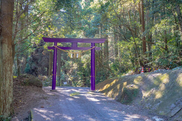 大釈天宮の紫色の鳥居（霧島市）