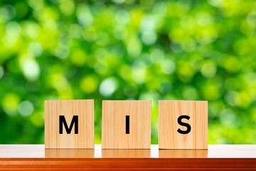 management information system © Brodeeka23