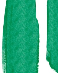 Light sketch in Fashion style in green color on white background