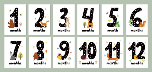 Baby monthly milestone cards set with cute forest animals. First year or baby shower prints collection with adorable woodland characters. 1-12 months stickers. Vector illustration