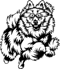 Pomeranian Dog Breed - Pet Vector Cut file, Dog Silhouette Stencil - Cricut file