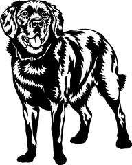 Half-Breed Labrador Dog Breed - Pet Vector Cut file, Dog Silhouette Stencil - Cricut file