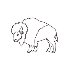 Fototapeta premium Bison animal vector illustration symbol mammal
