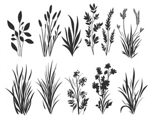 Fototapeta premium Floral & Grass Silhouettes