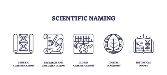 Scientific naming involves genetic classification, research, and global taxonomy. Outline icons set