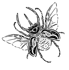flying horned beetle vector sketch illustration
