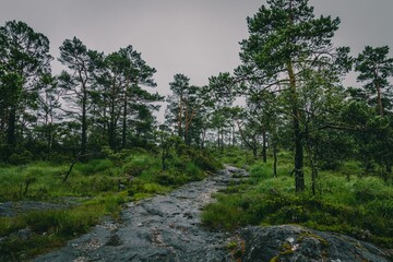 Foggy mountain view near Bergen with fjord