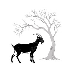 The Lone Goat Stands Before the Barren Tree