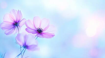Fototapeta premium Watercolor Flowers with Soft Delicate Brushstrokes and Pastel Tones, Captured in Natural Light, Artistic Botanical Illustration.