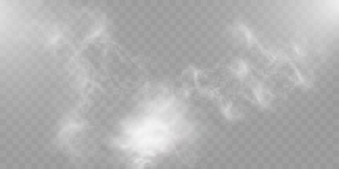 Realistic smoke effect, transparent fog overlay, wispy vapor texture, soft mist background, swirling haze.