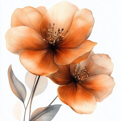 Abstract watercolor terracotta and gold flowers, Copper flowers, Isolated on white background