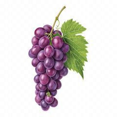 abstract 3d fresh grapes with green leaf isolated on a white background