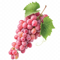 abstract 3d fresh grapes with green leaf isolated on a white background