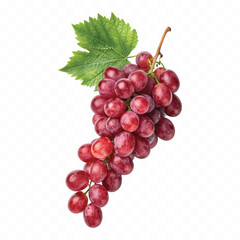 abstract 3d fresh grapes with green leaf isolated on a white background