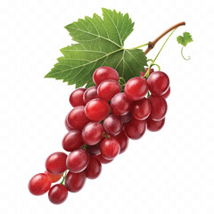 abstract 3d fresh grapes with green leaf isolated on a white background