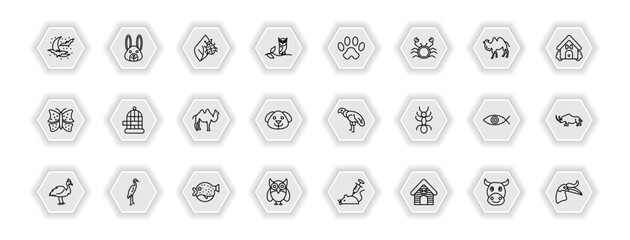 outline icons set - animals concept. vector icons included moon and bats, bug on leaf, paw, cage and more.