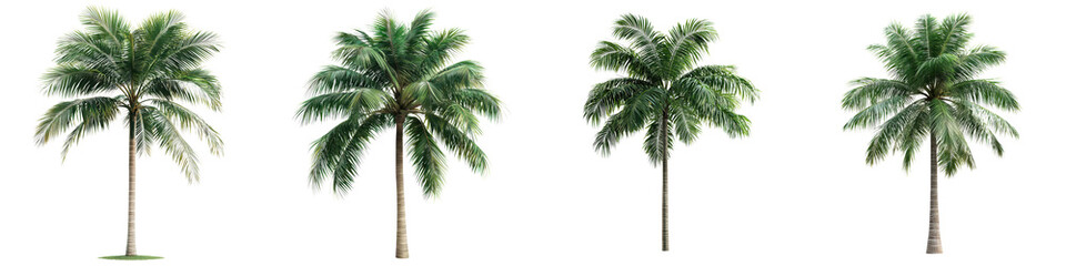 Picturesque tropical palm trees swaying in the breeze on a sunny beach coastline with idyllic natural scenery and a serene peaceful atmosphere  The lush green fronds provide a tranquil