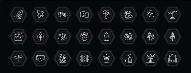 outline icons set - nature concept. vector icons included branches with leaves, palm islands, american beech tree, green and more.