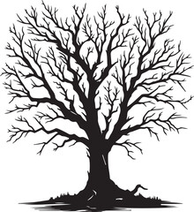tree with roots