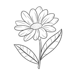 vector illustration of a white flower coloring page 