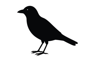 a silhouette crow in white background