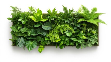 Obraz premium A vibrant biophilic green wall panel with assorted plants and ferns isolated on white background. Generative AI