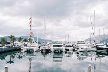 White catamarans stand in a row with motor and sailing yachts at the pier with a harbor crane