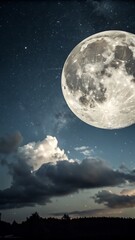 Fototapeta premium Gorgeous, luminous, gray full moon