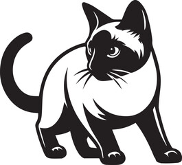 Siamese cat vector in black and white