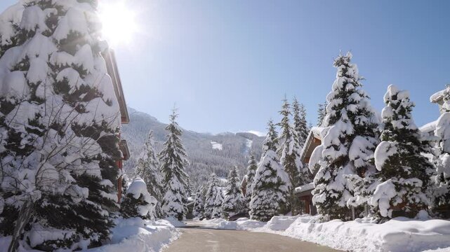 Mountain alpine winter luxury homes with snow covered trees, sunshine, Whistler Canada real estate, ski resort. 4K 24FPS