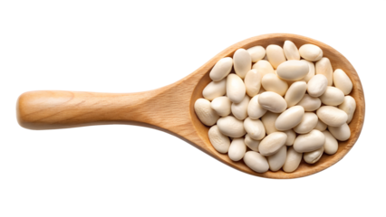 kidney bean in wooden spoon isolated on transparent background png