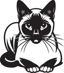 Siamese cat vector in black and white