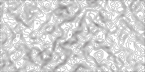 White wave paper curved reliefs abstract background, Abstract topographic contours map background. stylized topographic contour map. Geographic line mountain relief.