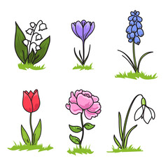 Early spring flowers drawing for children, Snowdrop, Crocus, Hyacinth, Tulip, Peony, Lily-of-the-valley on white