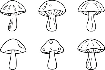 Hand-Drawn Mushroom Set - Autumn Forest Vector Illustration
