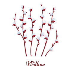 Collection of willow branches with silky buds on a white background. Perfect for botanical prints, spring card designs, posters, invitations, Easter flyers