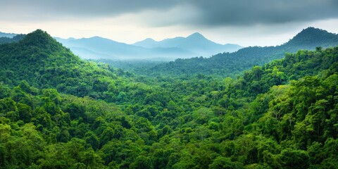 Fototapeta premium Ecological impact climate recovery concept. Lush green mountains under a cloudy sky create a serene landscape.