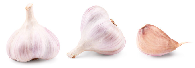 garlic isolated on white background. clipping path
