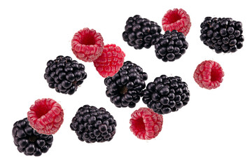 blackberries isolated on a white background. macro. clipping path