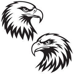 eagle head isolated on white