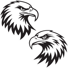 eagle head isolated on white