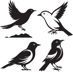 set of birds isolated on white background