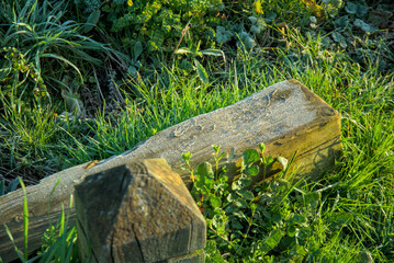 Frozen Plank Resting on Winter Grass