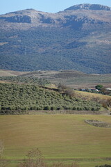 Naklejka premium View of Ronda in spring, Andalucia, Spain